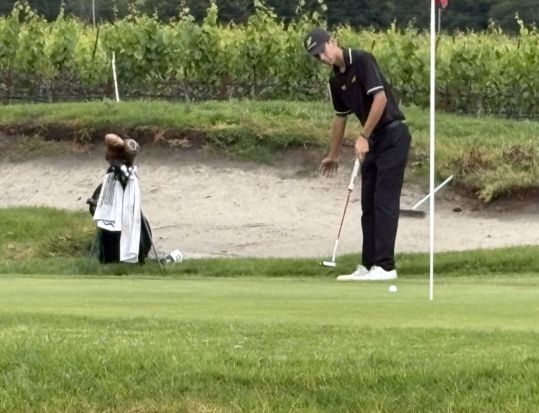 The journey for Napa Valley College men&rsquo;s golf team continues at state tournament
