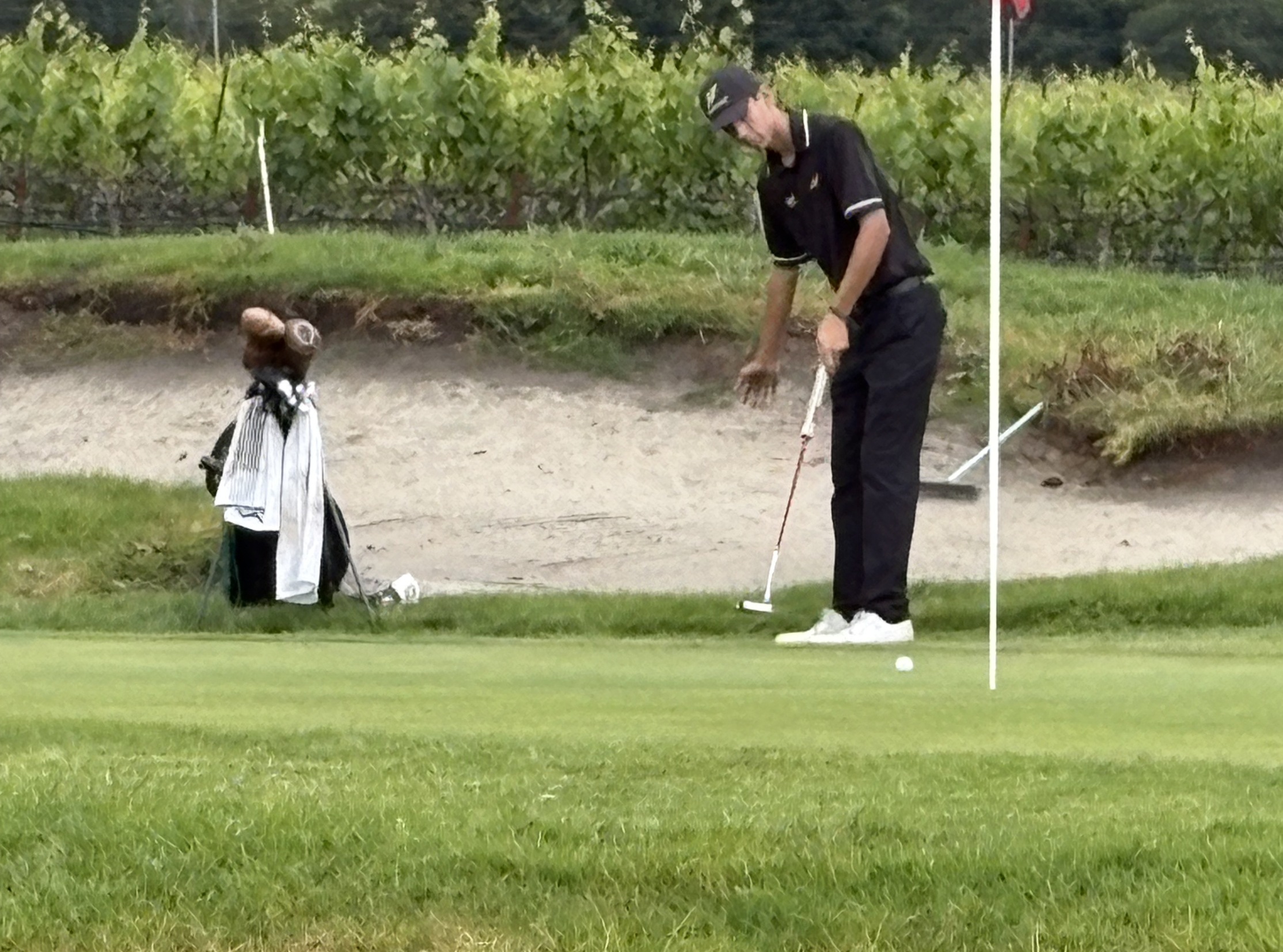 Peyton Alexander is shown for the Napa Valley College men&rsquo;s golf team earlier in the season.
Photos by Marty James